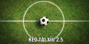 Tài Xỉu 2.5 33WIN | Khám Phá Công Thức Chơi Kèo Bóng Đá