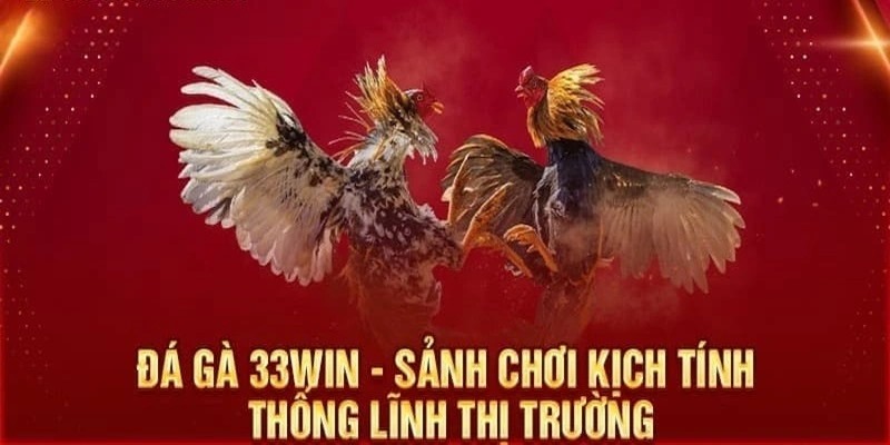 Giới thiệu về đá gà 33Win cho tân thủ