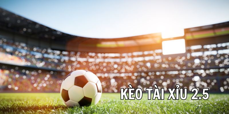 Giới thiệu kèo tài xỉu 2.5